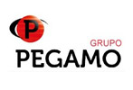 Grupo Pegamo